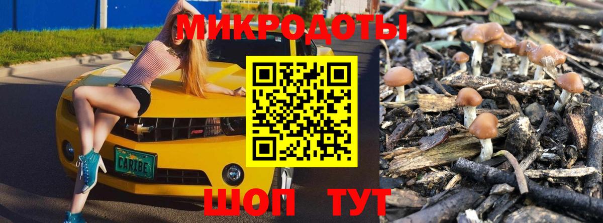 Галлюциногенные грибы Psilocybe  Вход с VPN  где продают наркотики  Лобня 